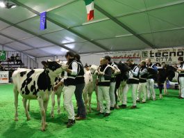 Zootecnia e meccanizzazione agricola: domani apre Bovimac. Gli appuntamenti della prima giornata