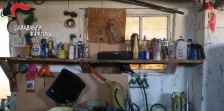 Curtatone, officina clandestina dentro la porcilaia: arrestato 34enne brasiliano