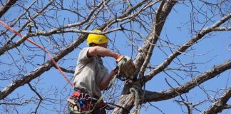 I rifiuti da sfalci e potature diventano “speciali”: Confartigianato Mantova si attiva col Gruppo Manutentori del Verde I rifiuti da sfalci e potature diventano "speciali": Confartigianato Mantova dà vita al Gruppo Manutentori del Verde