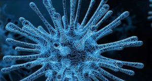 Coronavirus, è emiliano il primo italiano contagiato
