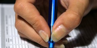 Crescono le partite Iva, maggior aumento nell’istruzione