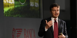 L’importanza del marchio, Amazon domina ma la Ferrari resta un sogno