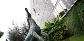 Dall’Agcom multa da 1,5 milioni alla Rai