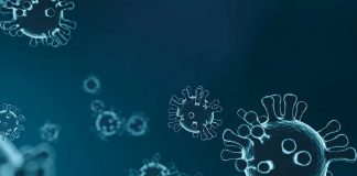 Coronavirus, Niccolò negativo al test