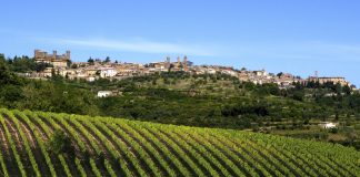 Vino e sport insieme per il sogno olimpico Milano-Cortina