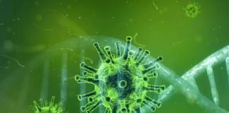 Coronavirus, altri 8 casi in Lombardia