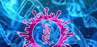 Coronavirus, due casi anche nel Padovano. Zaia: “Misure rigorose”