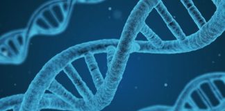 Salute, Ordine biologi e Sigu dicono no a test genetici nelle farmacie