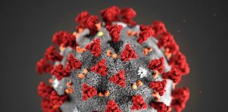 Muore una donna in Lombardia, due le vittime italiane del Coronavirus