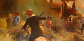 Confagricoltura: “Allevamenti, anomalie sul Modello 4. Il Ministero metta a punto un sistema di avviso”