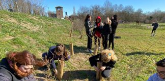 Alternanza scuola-lavoro com il Parco del Mincio: gli studenti del Mantegna ripuliscono le rive del lago