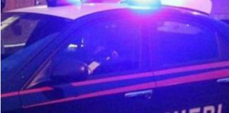 Investe un capriolo e crede di averlo ucciso, mentre aspetta il veterinario l’animale si alza e scappa