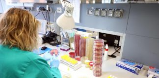 Tamponi mantovani anche oggi negativi, a casa i pazienti asintomatici in attesa di test