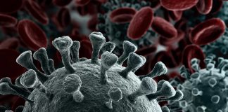 Coronavirus, la guerra tra virologi. Gismondo: “poco più di un’influenza”, Burioni: “è una scemenza, i numeri dicono altro” Una nuova variante del Covid registrata in Nigeria e quella del Sud Africa: "più trasmissibile di quella inglese"