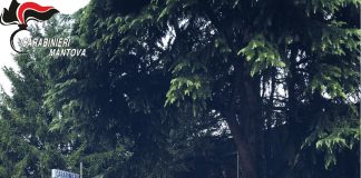 Fermato dai Cc nasconde la droga nelle mutande, 26enne di Sabbioneta segnalato per uso di sostanza stupefacente