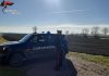 Trovati dai Carabinieri 2 lavoratori in nero. Sospesa attività di un’azienda agricola di Viadana e multa di 13mila euro