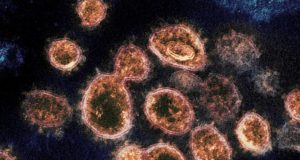 Coronavirus, in ginocchio il comparto allestimento fiere ed eventi