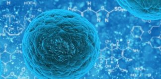 Coronavirus, primi due probabili casi in Valle D’Aosta