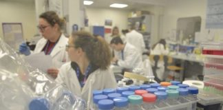 Coronavirus, in Francia 5400 casi e 120 morti