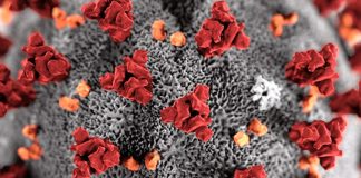 Da Assogenerici e Cittadinanzattiva campagna social sul coronavirus