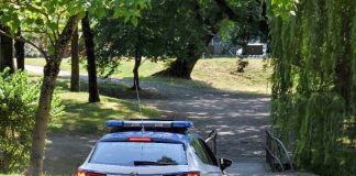 Mantova, azzannati al parco da due pitbull senza guinzaglio, coppia finisce all’ospedale