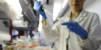 Contagiato il figlio dei due coniugi di Cogozzo di Viadana. Salgono a sei i mantovani positivi al coronavirus Contagiato il figlio dei due coniugi di Cogozzo di Viadana. Salgono a sei i mantovani positivi al coronavirus