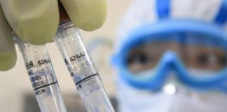 +184 nuovi positivi nel mantovano. L’aumento maggiore nel comune capoluogo +25 casi