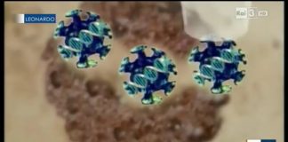 Il TGR Leonardo parlava di un virus creato in Cina. Gli scienziati: non è il Covid-19