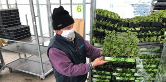 Cia est Lombardia: al via l’iniziativa “Un orto in ogni giardino”