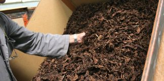 Bat acquista 4.500 tonnellate di tabacco italiano per il 2020