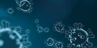 Uno studio, immunosoppressione non aumenta rischio covid nei trapiantati