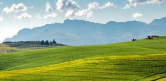 Coronavirus, da Ismea 30 milioni ad aziende agricole e pesca