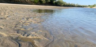 Coldiretti Mantova: zootecnia sotto accusa, ma fiume Po mai così limpido Il Po a Motteggiana
