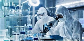 La variante inglese del Covid è già entrata in Italia e può falsare i tamponi. L’Europa sospende i collegamenti con la GB La variante inglese del Covid è già entrata in Italia. E ora l'Europa ha paura, sospesi i collegamenti con il Regno Unito