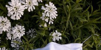 Laura, mamma viadanese, rilancia l’idea delle mascherine trasparenti. E cerca materiale per produrle