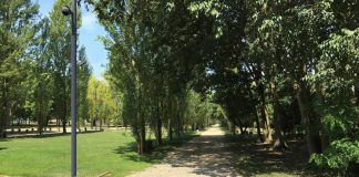 Manutenzione del verde pubblico: a Bosco Virgiliano via 90 alberi ammalorati. Nuovi impianti in Valletta Valsecchi