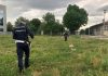 Borgochiesanuova, torna l’incubo dei bocconi avvelenati: morto un cane, tre gravi. Indaga la Polizia Locale