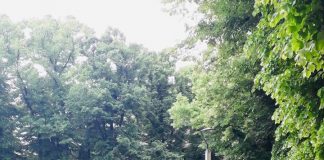 Monumenti, lanterne, lampade a led, sostituzione pali: non si ferma il piano comunale per la riqualificazione dell’illuminazione pubblica