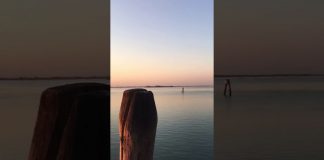 Venezia al tempo del Covid. L’architetto Sara Lonardi immortala le acque immobili di una città inedita