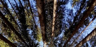 “Limbo”, l’uomo che arretra nei giorni del Covid… lettera aperta di un malato oncologico mantovano "Limbo", l'uomo che arretra nei giorni del Covid... lettera aperta di un malato oncologico mantovano