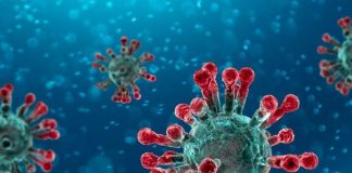Coronavirus, Ue lancia patto per il vaccino