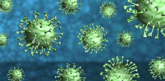 Coronavirus, in Umbria zero contagi