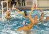 Stop ai campionati di pallanuoto, scudetti non assegnati