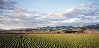 Banda ultra larga, intesa Confagricoltura-Open Fiber