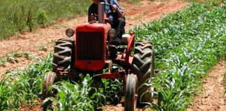 Sicurezza-Fase 2: Cia Est Lombardia al fianco delle aziende