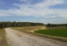 Argine Cizzolo-Cavallara, Carra (Pd): “Lavori annunciati dalle Regione sono palliativo serve innalzamento”