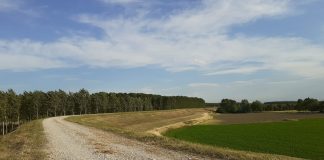 Argine Cizzolo-Cavallara, Carra (Pd): “Lavori annunciati dalle Regione sono palliativo serve innalzamento”