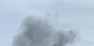 Incendio in un vivaio a Bozzolo: a fuoco dei vasi di plastica