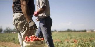 Dal 1° giugno al 15 luglio le domande per la regolarizzazione dei posti di lavoro