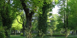 I parchi in alcuni comuni resteranno ancora chiusi